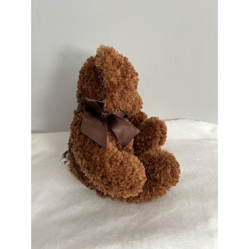Gund Comfort Cub Brown Teddy Bear Hidden Heart lock Picture Memories Inside - Picture 3 of 9
